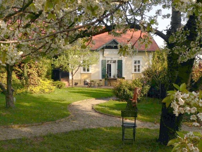 Villa Mimi Sopron Exterior foto